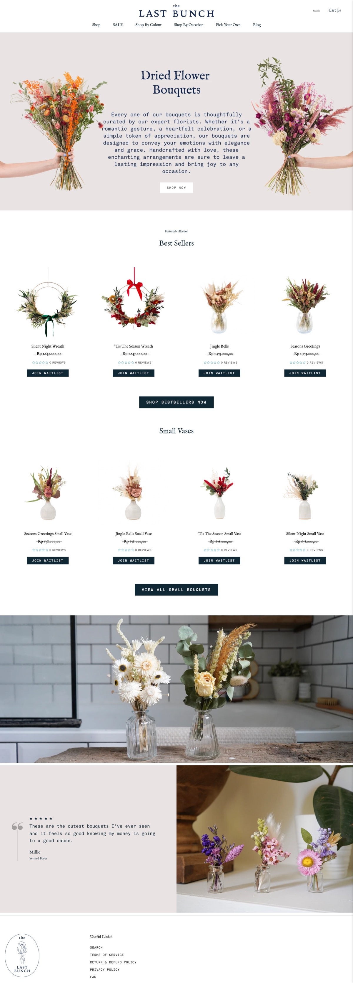 The Last Bunch website