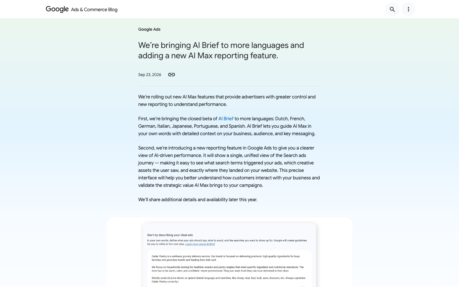 The original story on Google Ads & Commerce Blog